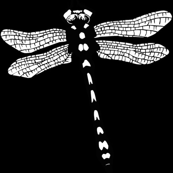 dragonfly Thumbnail