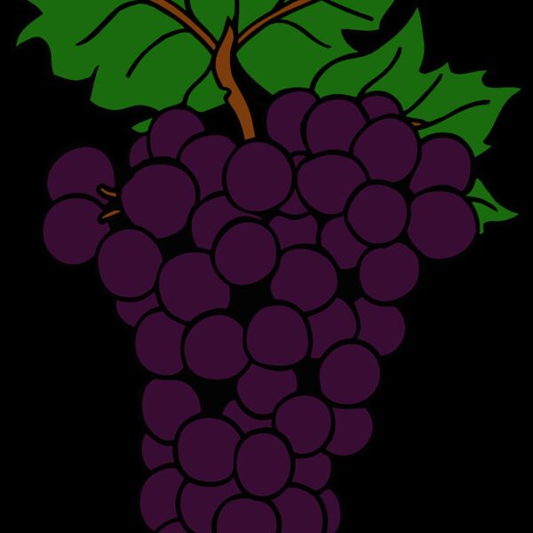 grapes1 Thumbnail