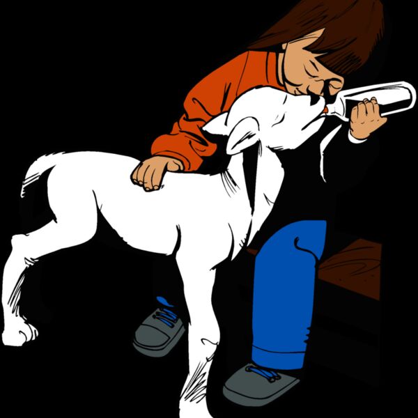 kidandlamb1 Thumbnail