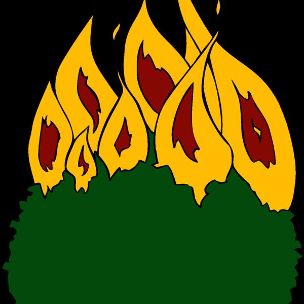 burningbush01 Thumbnail