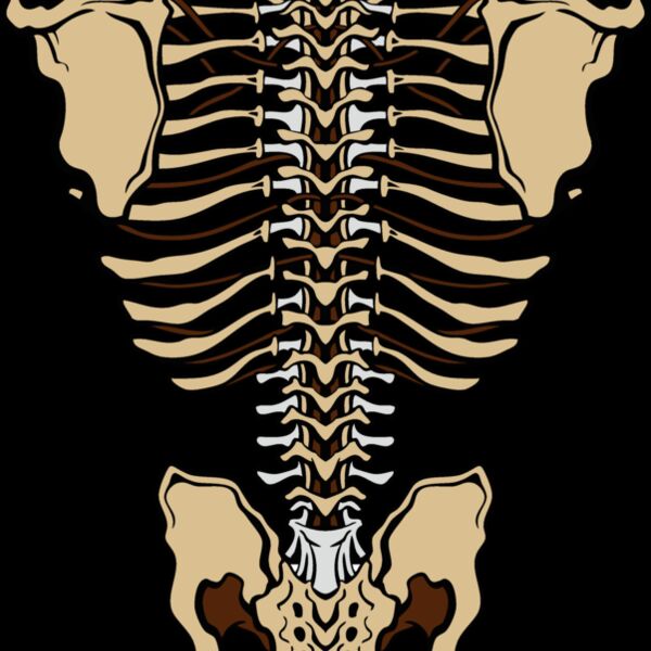 es3bones01clr Thumbnail