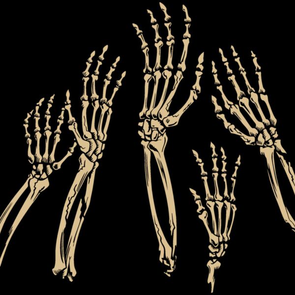 bone hands Thumbnail