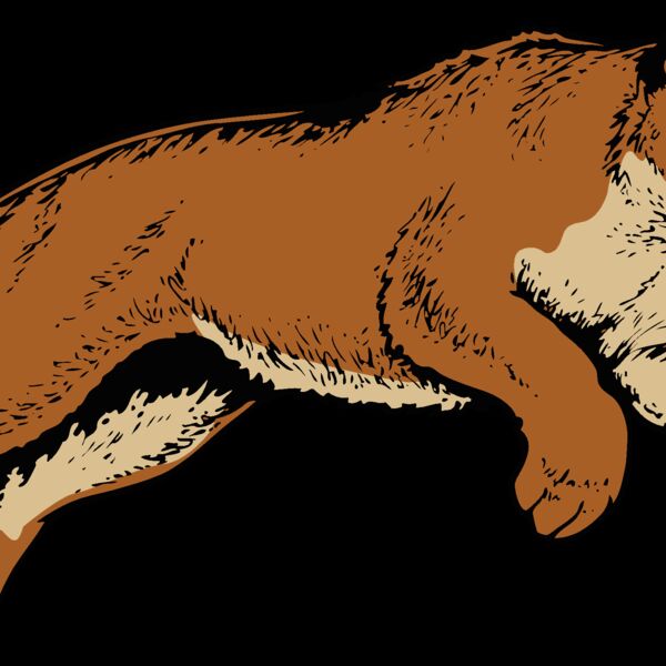 cougar11v4clr  2  Thumbnail