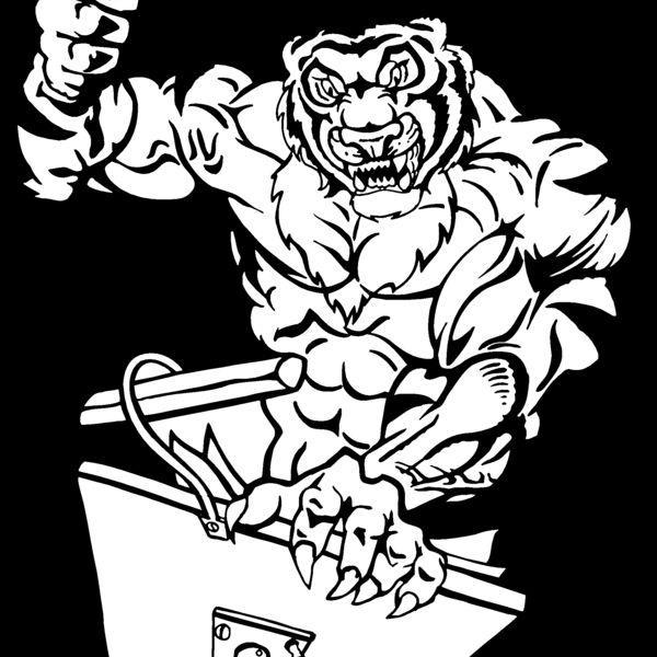 tigermusic Thumbnail