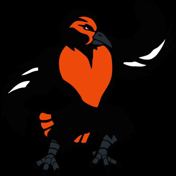 oriolemsct04 Thumbnail