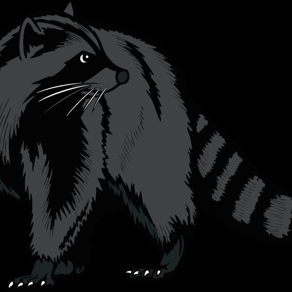 raccoon02v4clr Thumbnail