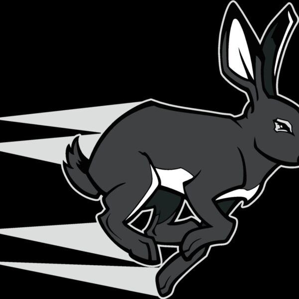 rabbit04v4clr  2  Thumbnail