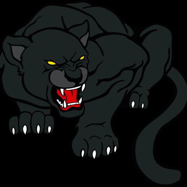 pantherp001 Thumbnail