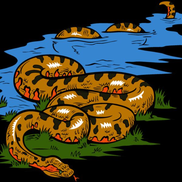 snake13v4clr Thumbnail