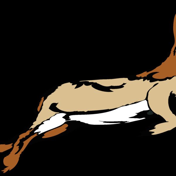 rabbit05v4clr  2  Thumbnail