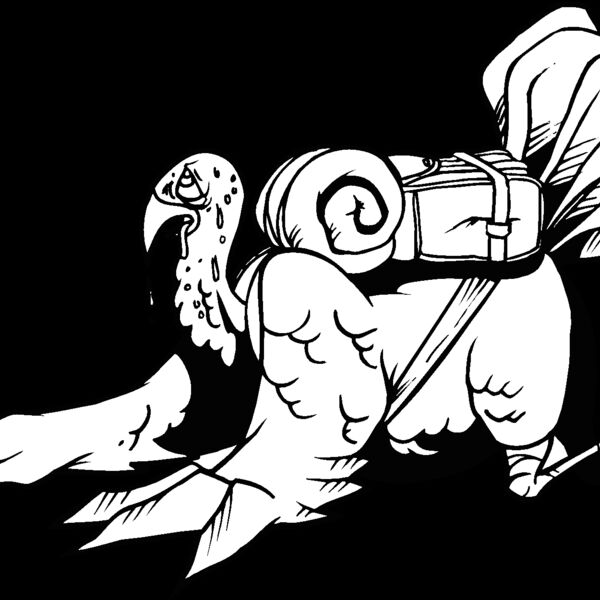 tiredturkey Thumbnail