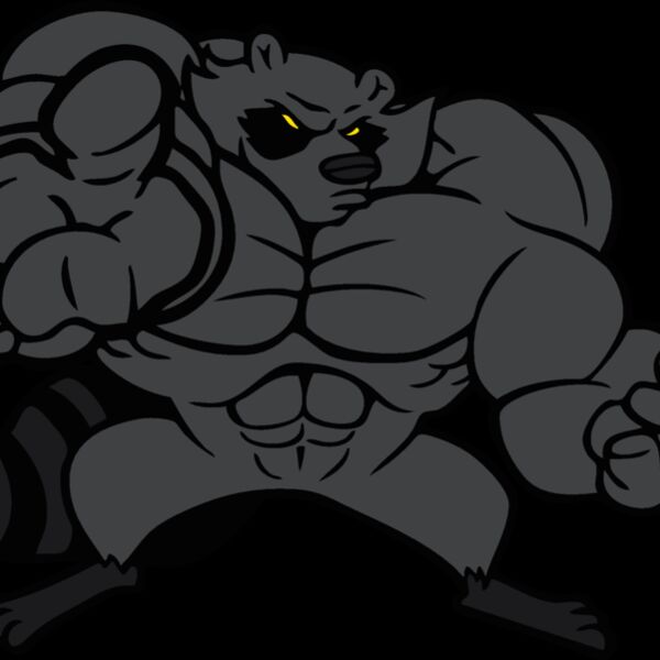 raccoonm2 Thumbnail