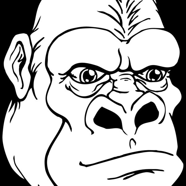 gorilla 14 Thumbnail