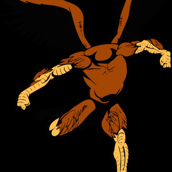 birdbody02 Thumbnail