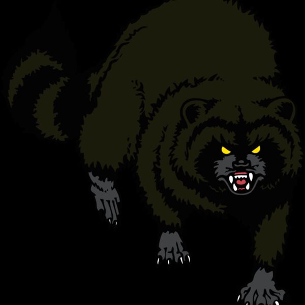 raccoon01v4clr Thumbnail