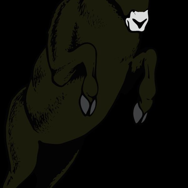 ram06v4clr Thumbnail