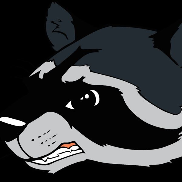 racoonhd04 Thumbnail