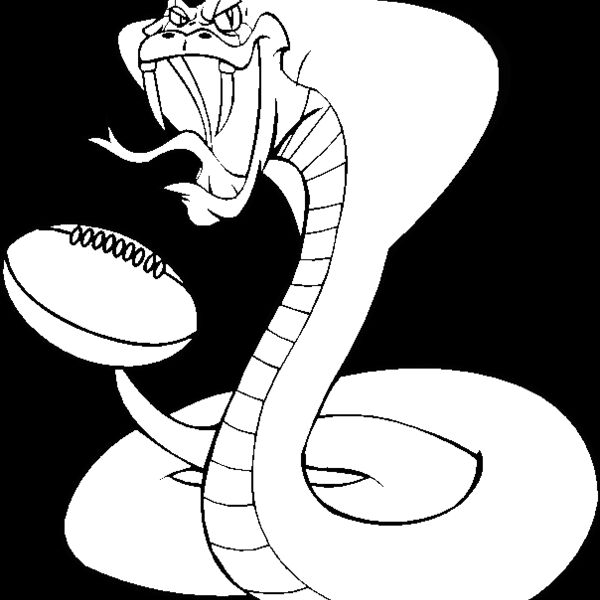 cobrargbybns Thumbnail