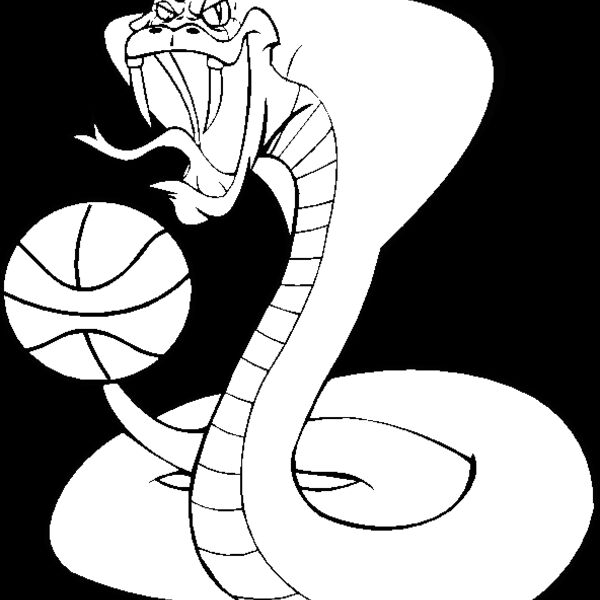 cobrabskblbns Thumbnail