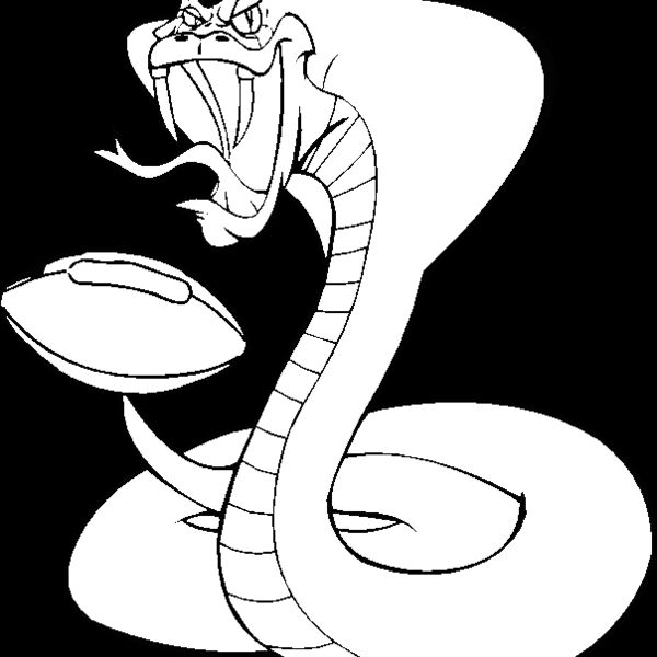 cobraftblbns Thumbnail