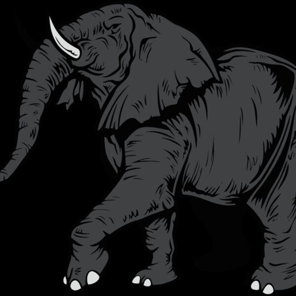 elephantj021 Thumbnail