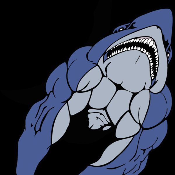 sharkmsct3 Thumbnail