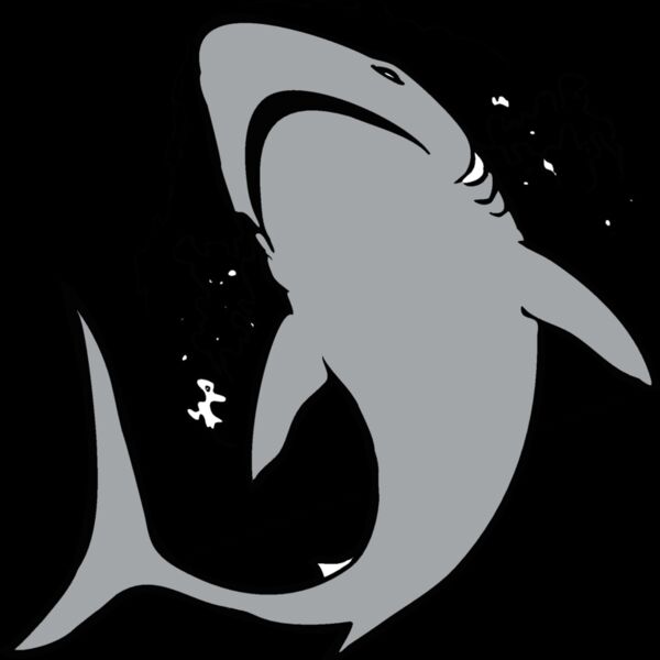 shark3 Thumbnail