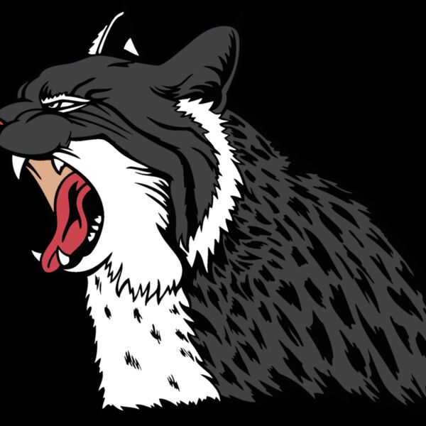 wildcat17v4clr Thumbnail