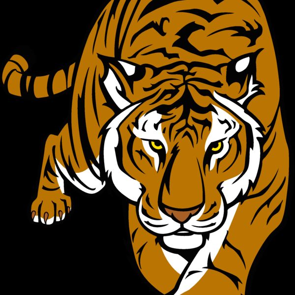 tiger12v4clr Thumbnail