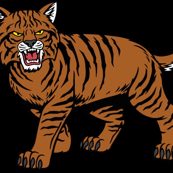 wildcat04v4clr Thumbnail