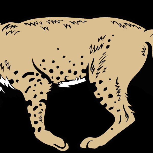 wildcat18v4clr Thumbnail