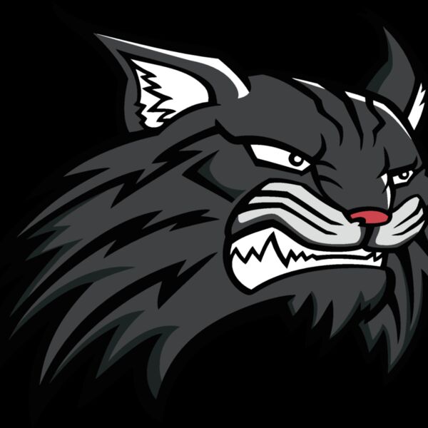 wildcat11v4clr Thumbnail