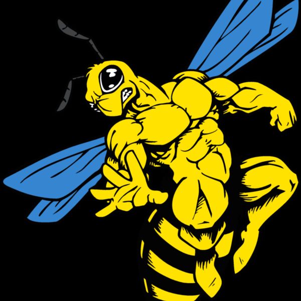 yellowjkt2 Thumbnail