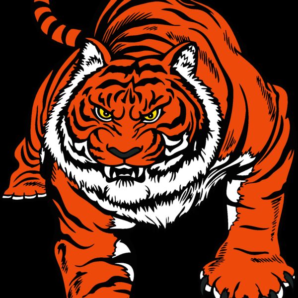 tiger01v4clr Thumbnail