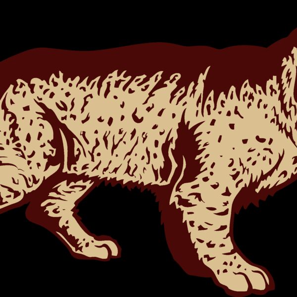 wildcatj022 Thumbnail