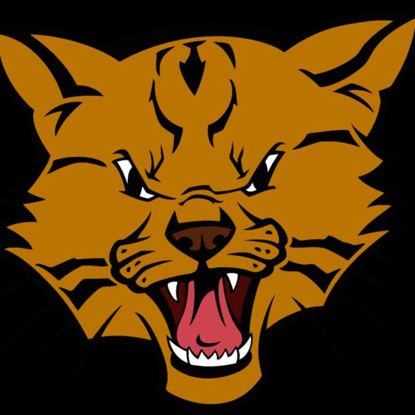 wildcat03v4clr  2  Thumbnail