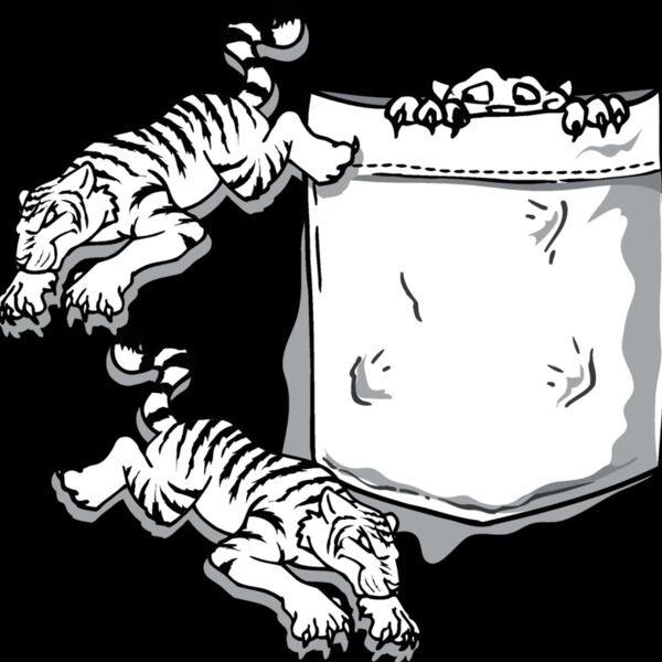 tiger pocket Thumbnail