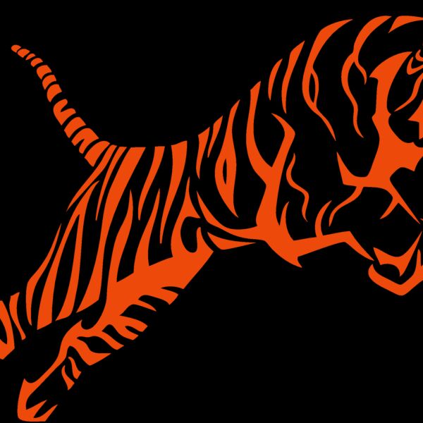 tigertribal Thumbnail