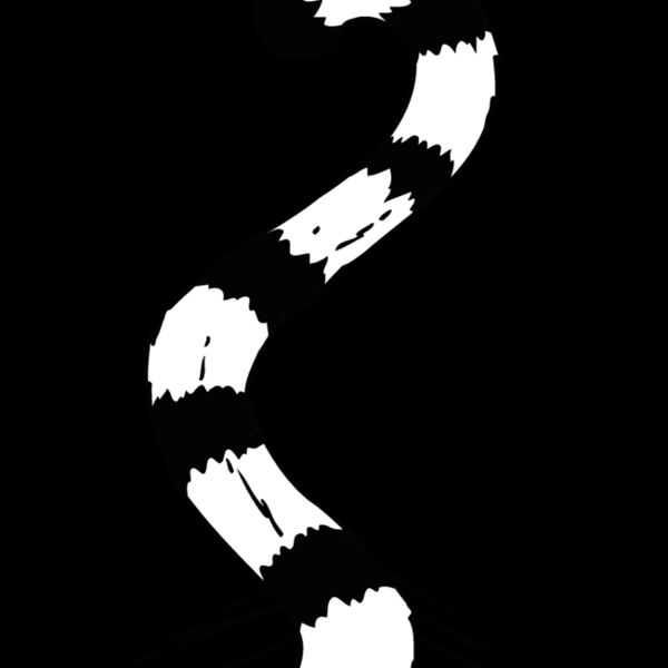 tiger tail 1 Thumbnail