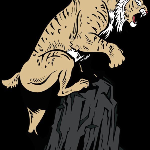 wildcat16v4clr Thumbnail