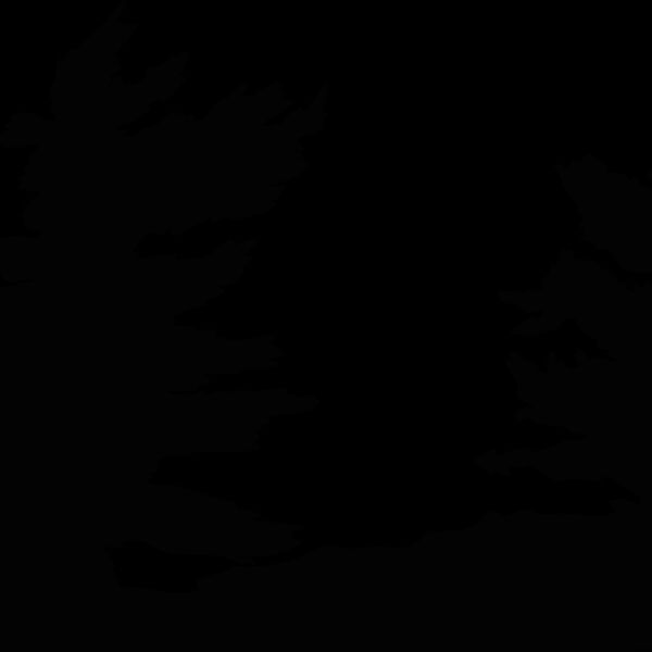 treesilouet1 Thumbnail