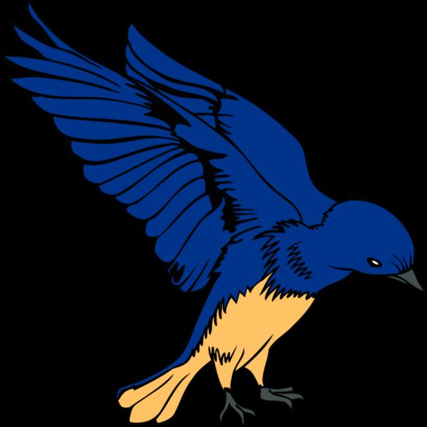 idahobluebird1 Thumbnail