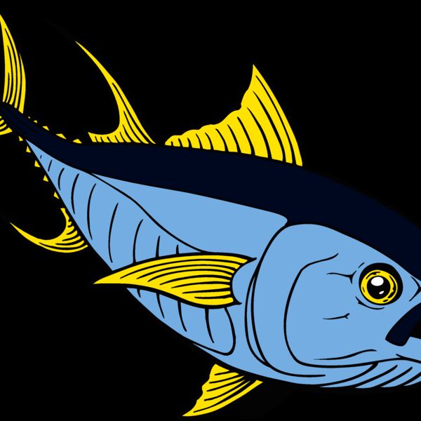 fish tuna Thumbnail