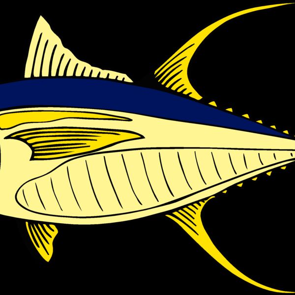 fish yellowfintuna Thumbnail