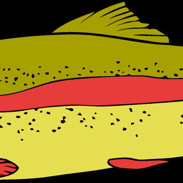 fish rainbowtrout02 Thumbnail