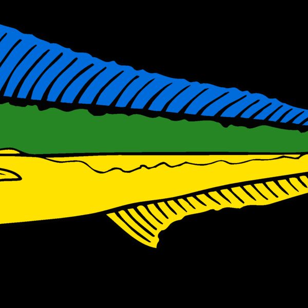 fish dolphin Thumbnail