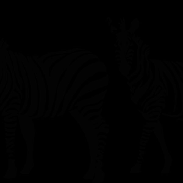 africazebras1 Thumbnail