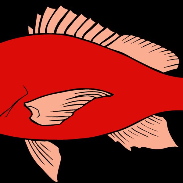 fish redsnapper Thumbnail
