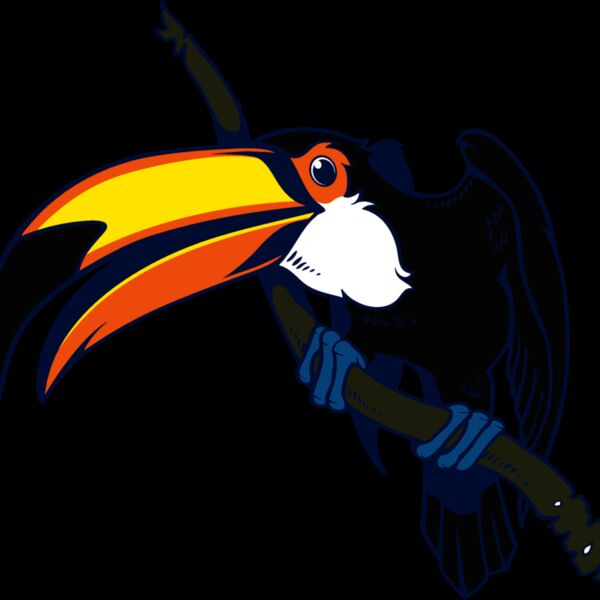 toucan01clr Thumbnail