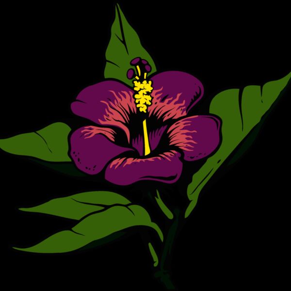 es3tropical01clr Thumbnail